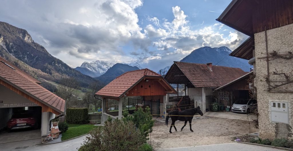 Horse on farm in Slovenian village of Dovje