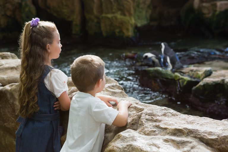 natuurvakanties met kinderen