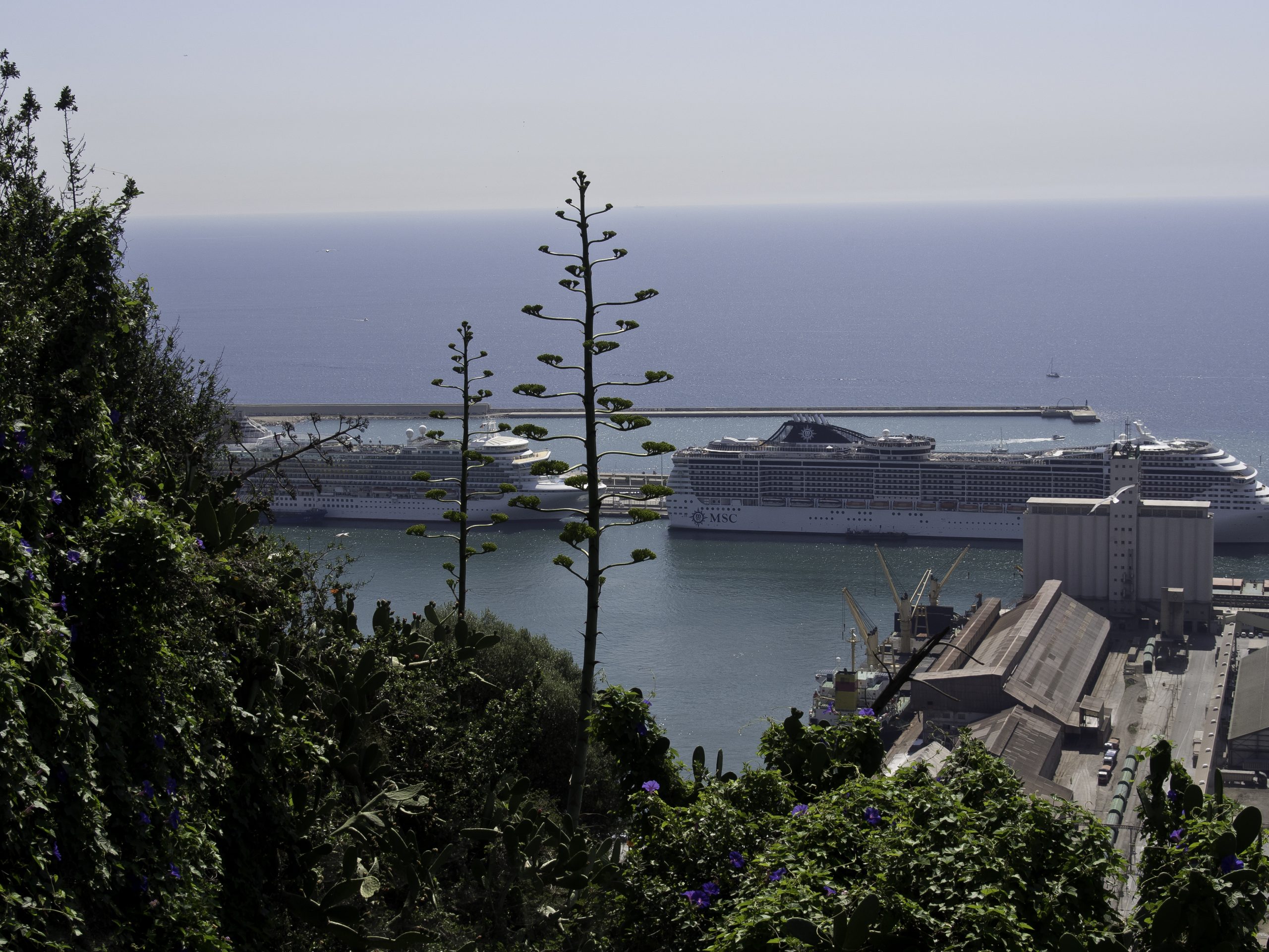 Passagiers die deelnemen aan een workshop over mariene conservering op het dek van een schip, kijkend naar een scherm met onderwaterbeelden of werkend met duurzame materialen.