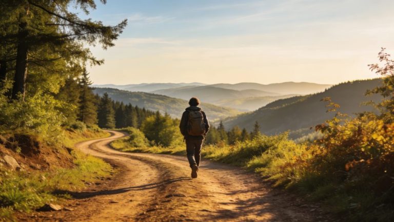 NS-wandelroutes brengen je direct de natuur in