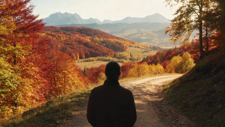 Ontdek natuur per seizoen met OV-arrangementen